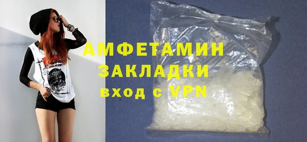прущие грибы Кулебаки
