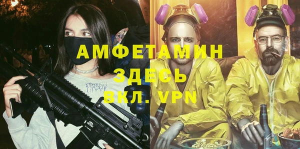 прущие грибы Кулебаки