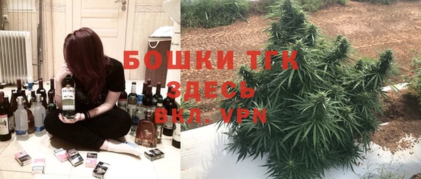 прущие грибы Кулебаки