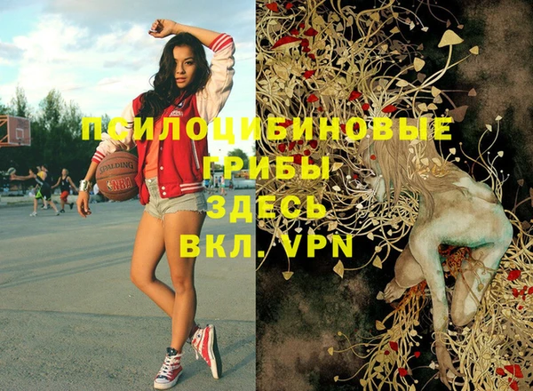 кокаин премиум Коряжма