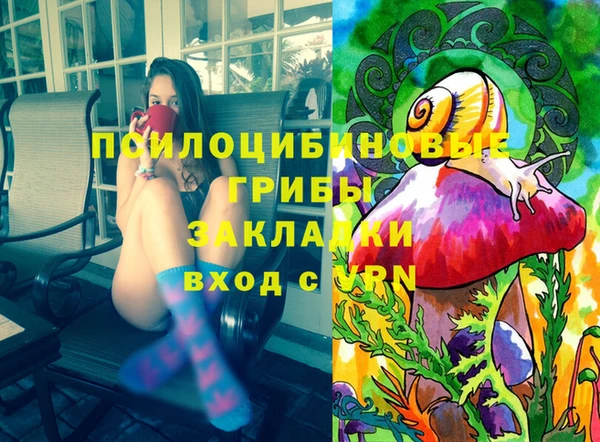 сатива Костерёво